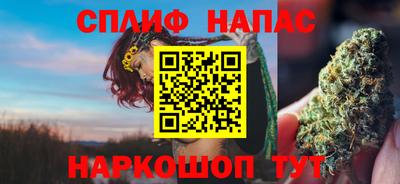 тгк Тула